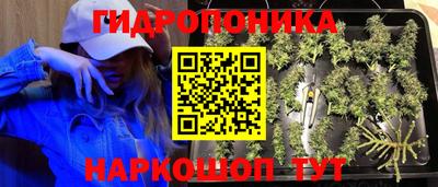 соль ск Краснокаменск